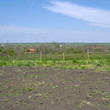 Proprietà rurale comoda quasi il mare !