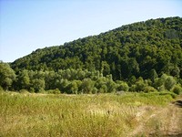 Terreno agricolo in Gabrovo