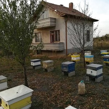 Case in Stara Zagora