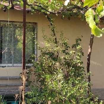 Case in Stara Zagora