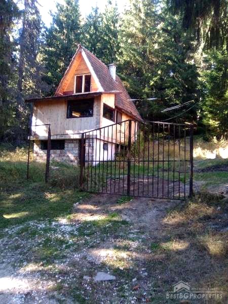 Casa in vendita nelle montagne vicino a Dospat