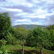 Casa in vendita vicino Berkovitsa