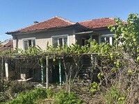 Case in Pazardzhik