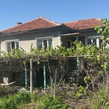 Case in Pazardzhik