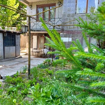 Case in Pleven
