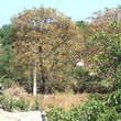 Casa in vendita vicino al mare