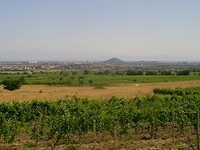 Terreno agricolo in Plovdiv