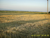 Terreno agricolo in Sofia