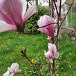 Bella casa in vendita vicino a Pernik