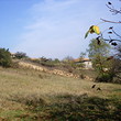 Nizza Rural Property vicino a Biala