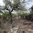 Vecchia casa in vendita vicino a Troyan