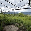 Vecchia casa in vendita vicino a Vratsa
