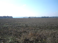 Terreno agricolo in Burgas
