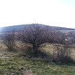appezzamento di terreno agricolo in vendita vicino a Sofia