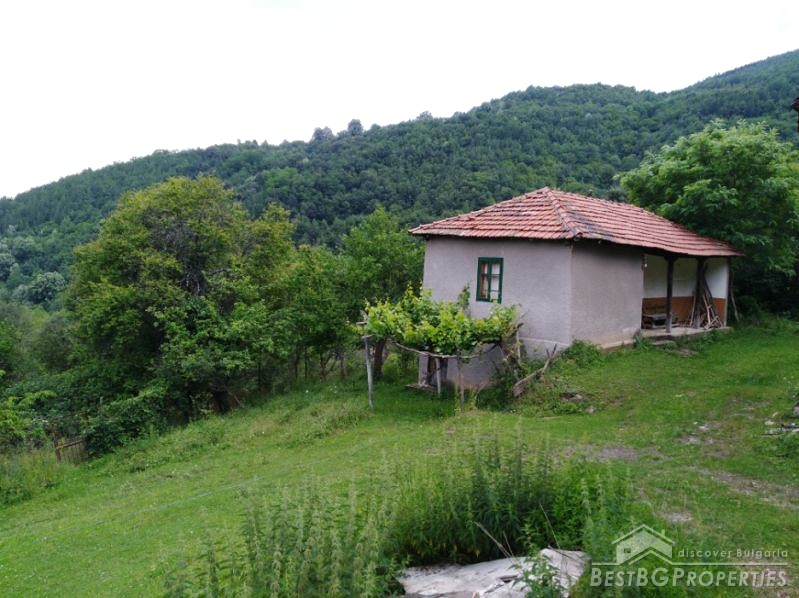 Proprietà in vendita nelle montagne a nord di Sofia