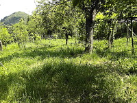 Terreni edificabili in Lovech