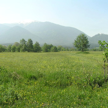 Terreni edificabili in Bansko