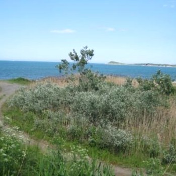 Terreni edificabili in Burgas