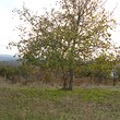 Regolamentati appezzamento di terreno in vendita vicino a Bourgas