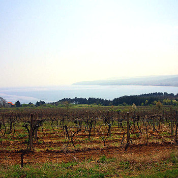 Terreni edificabili in Varna