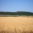 Regolamentati appezzamento di terreno in vendita vicino Kableshkovo e Aheloy