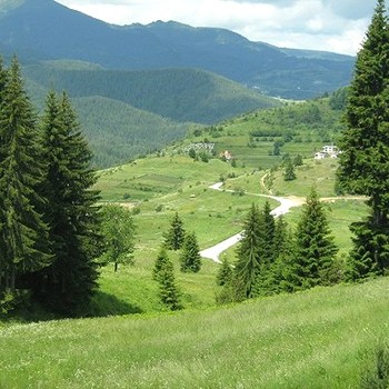 Terreni edificabili in Pamporovo