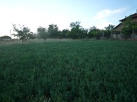 appezzamento di terreno regolamentati in vendita vicino a Sandanski