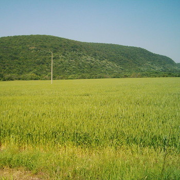 Terreni edificabili in Pomorie