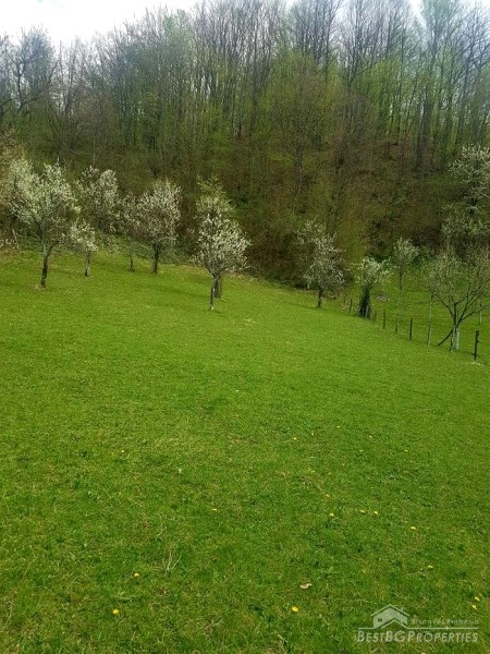 Terreno regolamentato di vendita in vendita nei pressi di Teteven