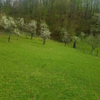 Terreni edificabili in Teteven