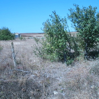 Terreni edificabili in Varna