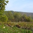 appezzamento di terreno regolamentati in vendita vicino a Veliko Tarnovo