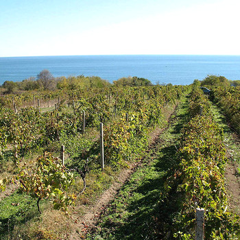 Terreni edificabili in Varna