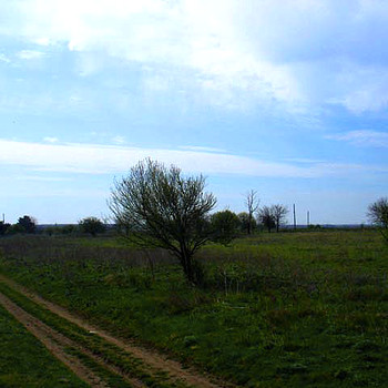 Terreni edificabili in Dobrich