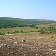 Appezzamenti di terreno regolamentati in vendita vicino a Albena
