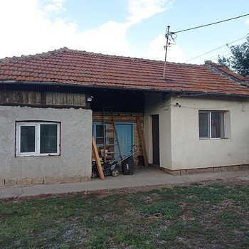 Case in Polski Trambesh