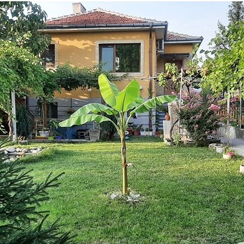 Casa ristrutturata con un bel cortile in vendita a Kardzhali