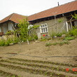 Casa rurale con la vigna vicino Rousse