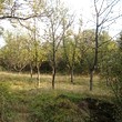 Proprietà rurale vicino al lago Sopot