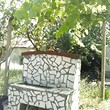 Proprietà rurale in vendita vicino a Asenovgrad