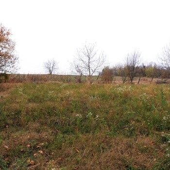 Terreni edificabili in Pavlikeni