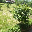 Proprietà rurale in vendita vicino a Vratsa
