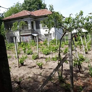 Case in Polski Trambesh