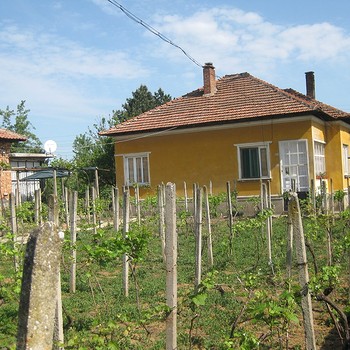 Case in Vidin