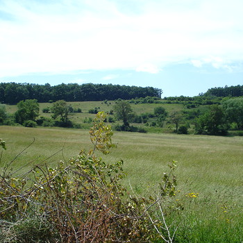 Terreni edificabili in Sofia