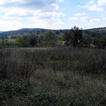 un edificio trama Strandzha vicino