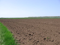 Terreno agricolo in Kavarna