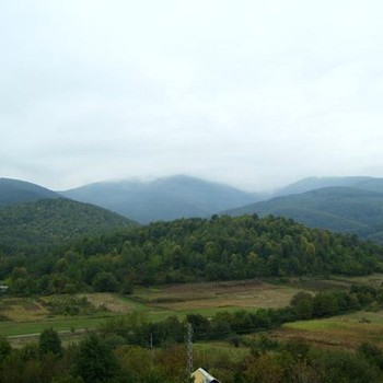 Terreni edificabili in Berkovitsa
