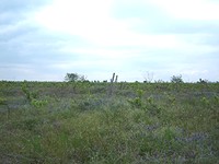 Terreni edificabili in Pomorie