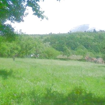 Terreni edificabili in Berkovitsa